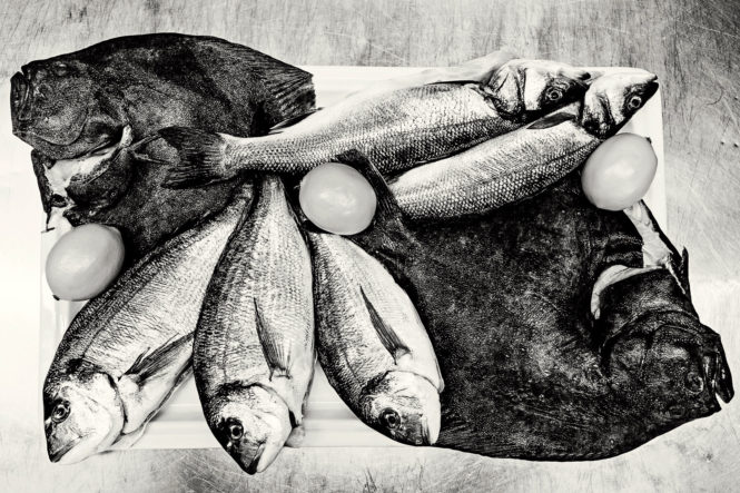 Fishes on the table